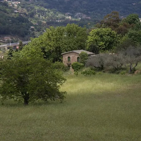 Casa Del Jazz
